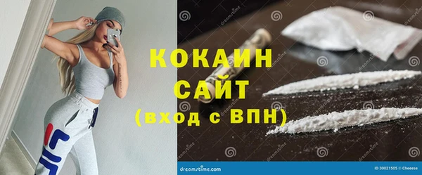 ПСИЛОЦИБИНОВЫЕ ГРИБЫ Осташков