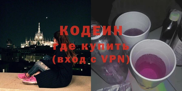 дживик Осинники