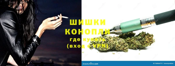 дживик Осинники