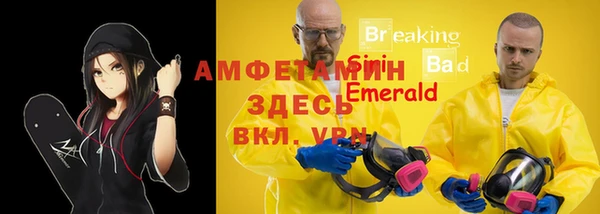 ПСИЛОЦИБИНОВЫЕ ГРИБЫ Осташков
