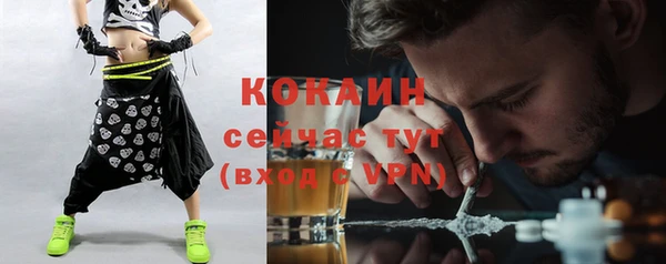 дживик Осинники