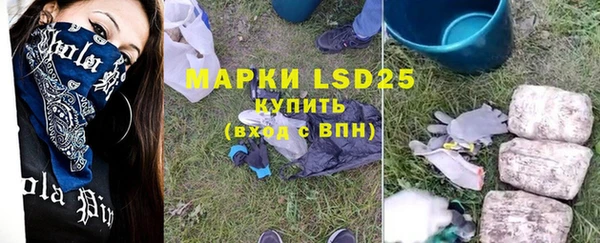 ПСИЛОЦИБИНОВЫЕ ГРИБЫ Осташков