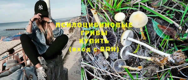ПСИЛОЦИБИНОВЫЕ ГРИБЫ Осташков