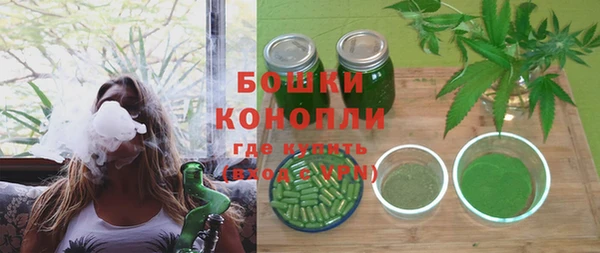 ПСИЛОЦИБИНОВЫЕ ГРИБЫ Осташков
