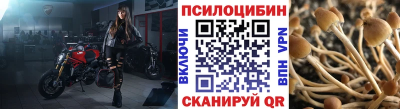 Галлюциногенные грибы ЛСД  Рудня 